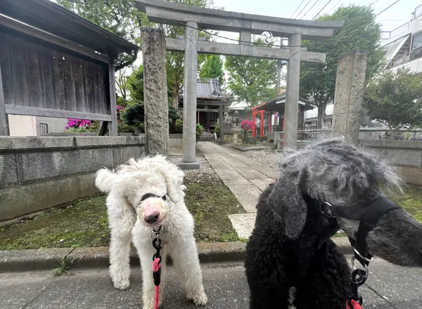 Featured image for this note