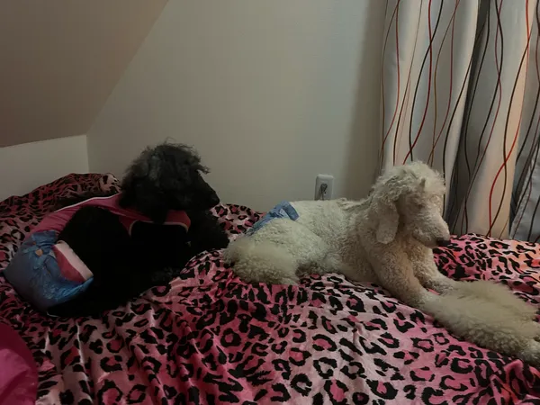 Featured image for this note